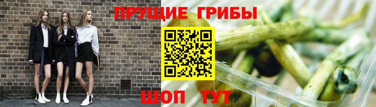 Псилоцибиновые грибы прущие грибы  Вход с VPN  Долгопрудный 